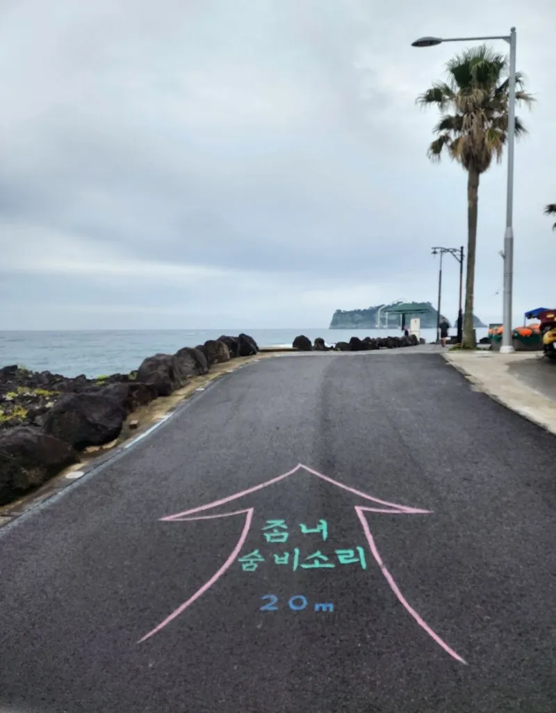 [Beophwan-dong, Seogwipo] ♡Right in front of Beophwan Beach♡ 3 rooms, 2 bathrooms, Olle Trail Course 7, 5 minutes by car to E-Mart 62