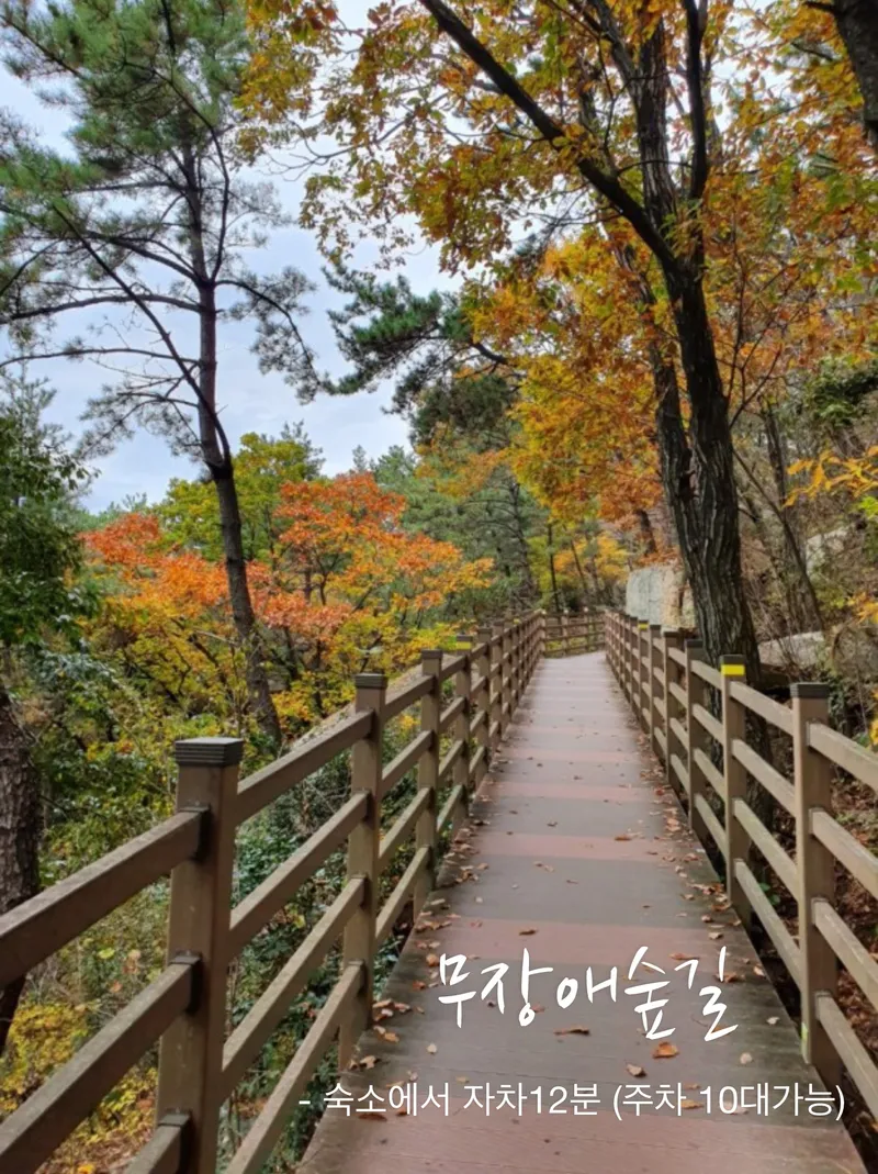 [부산 북구] 레트로 감성 숙소 18