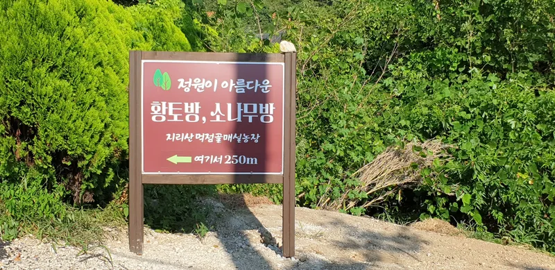 [경남 하동] 정원이 아름다운 소나무방 26