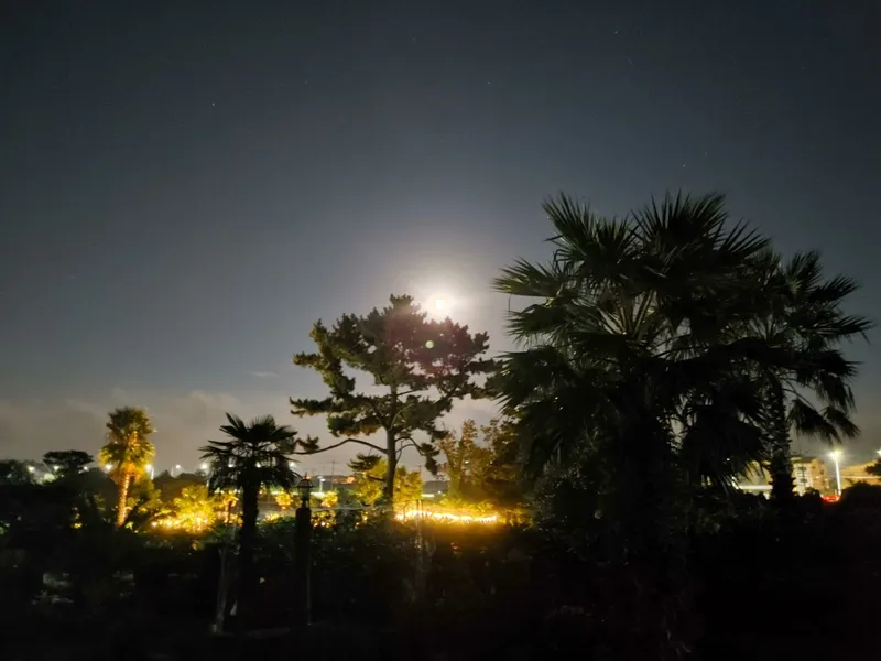 [Seongsan, Seogwipo] A two-story detached house with palm trees and a large lawn garden 25