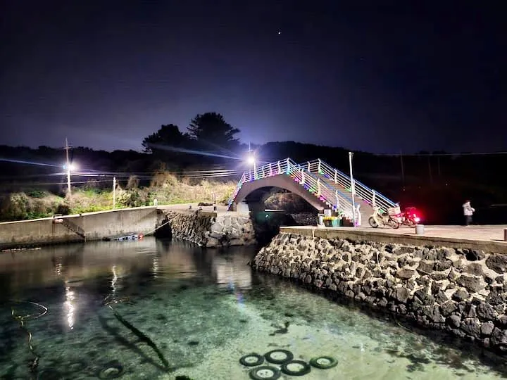 [제주 조천][북촌포구]바다거리 5초_트렌드 촌캉스 넓은마당 불멍,문어통발,낚시가능 94