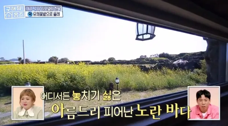 [제주 구좌] #전통돌담집#구해줘홈즈106회방송 #바닷가 단독주택#유채꽂 4