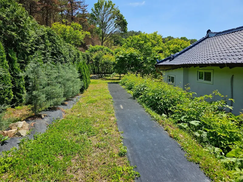 [Sunchang] Thatched-roof remodeled 2-room detached house #Pets allowed 15