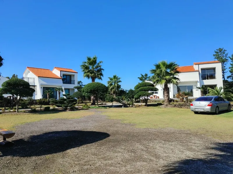 [Seongsan, Seogwipo] A two-story detached house with palm trees and a large lawn garden 39