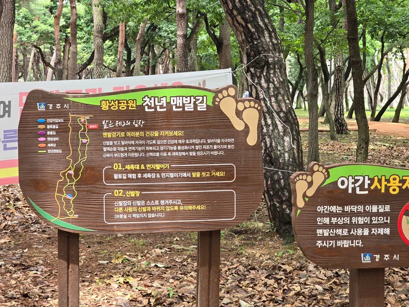 [경북 경주] 공원앞뜰이 있는 투룸 돌집 2층 34