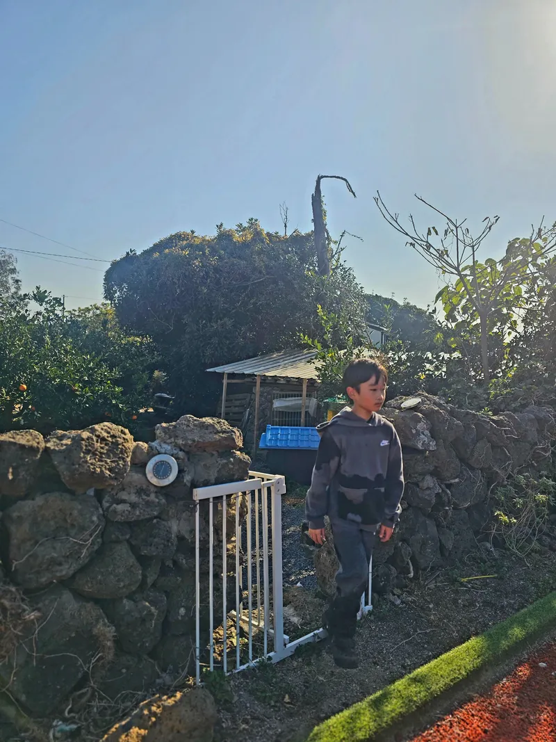 [Namwon, Seogwipo] 2-story detached house. Spacious yard. Ocean view. Jacuzzi. Three-room. BBQ. Foot volleyball. Pets 288