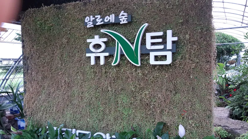 [Pyoseon, Seogwipo] 102nd house in a country house full of humanity in a palm tree forest by the sea 22
