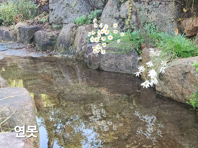 [경남 산청] 마당넓은  지리산뷰 독채+별채 벽난로 시골살기, 24