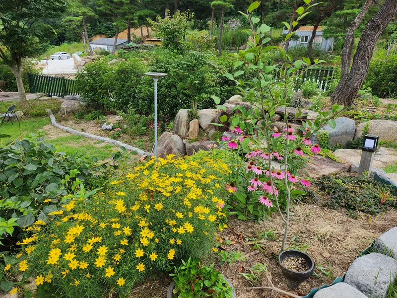 [경남 산청] 마당넓은  지리산뷰 독채+별채 벽난로 시골살기, 21