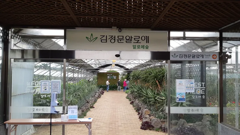 [Pyoseon, Seogwipo] 201, a country house full of humanity in a palm tree forest by the sea 22