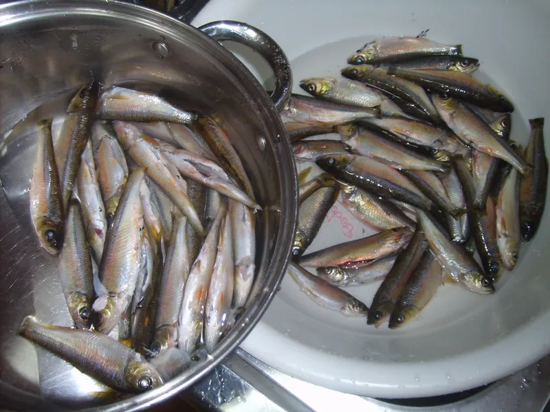 [Hadong] Jirisan Ssanggyesa Seomjin River Hwagae Market Yeongho-nam Place No. 205 15