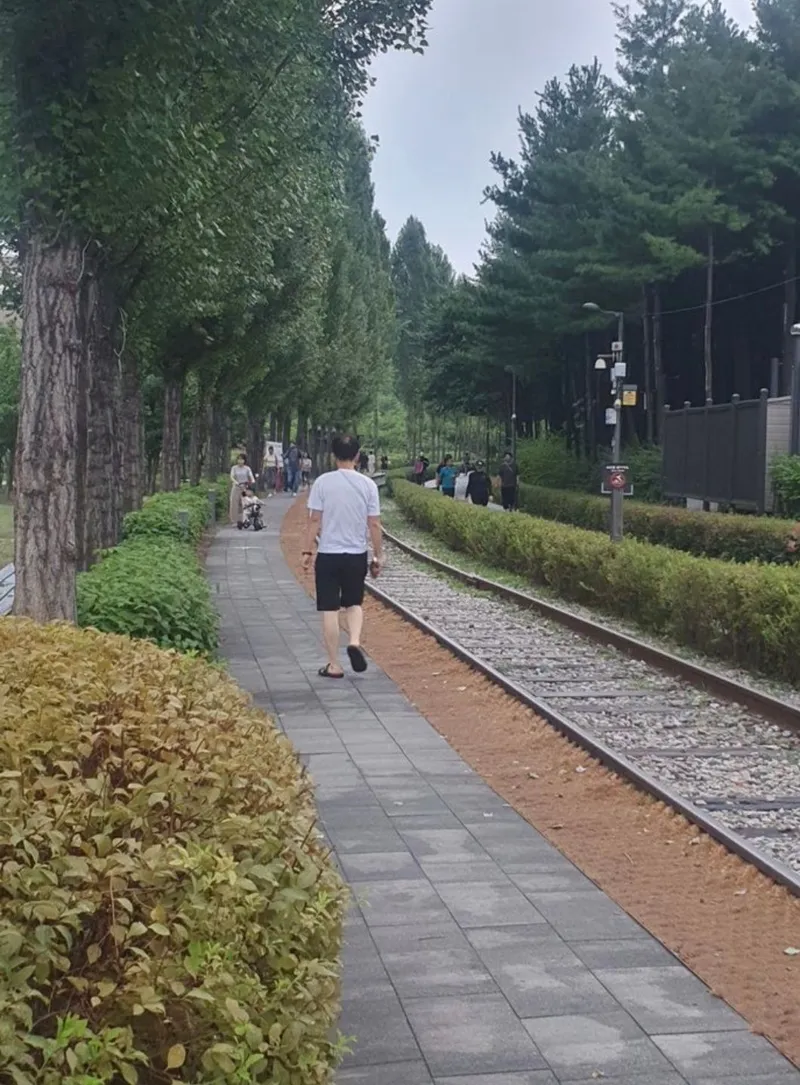 [Nowon, Seoul] Hagye Station/Eulji Hospital/Gyeongchun Line Forest Road/3-room, 6-person, 1st floor apartment 23