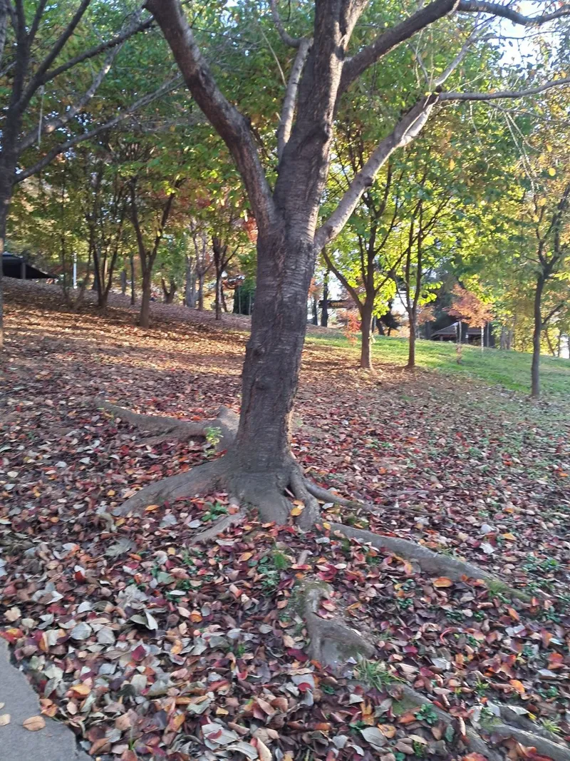 [인천 남동] 쉼은 기본이고 편의시설은 덤인 편안한 집~^^ 34