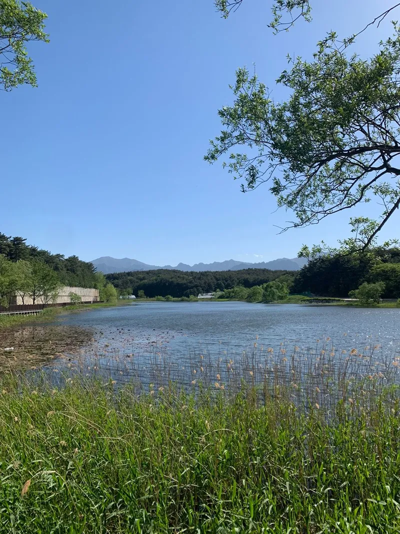 [강원 고성] 고성쉼하우스(고층/37평)방3,화장실2/오션뷰/호수뷰/마운틴뷰/숲세권 38