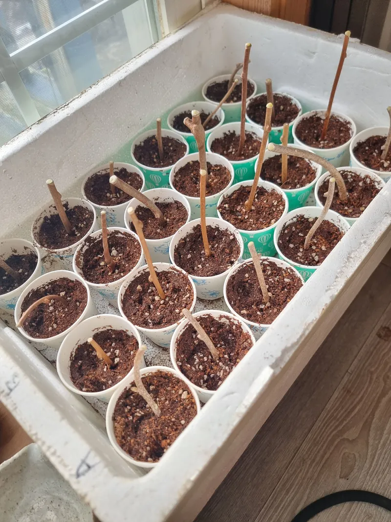 [경기 가평] 북한강변에서 자연인체험해보기 .와이 12