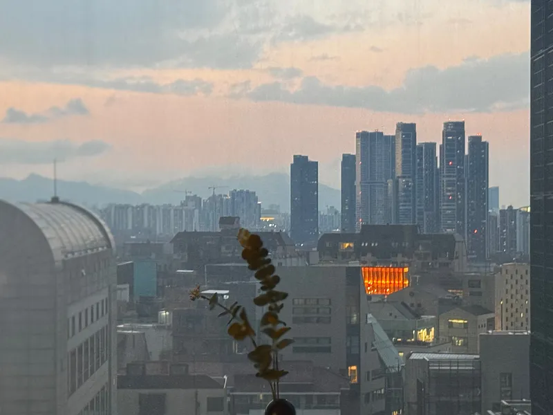 [서울 강남][청담] 아늑한 고층 뻥뷰 오피스텔 17