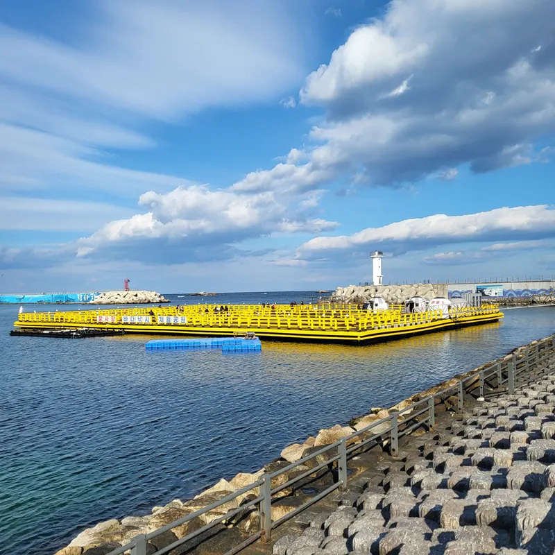 [Sokcho] 1-minute walk to the sea! Ocean view! [SokchoBadaya] 56