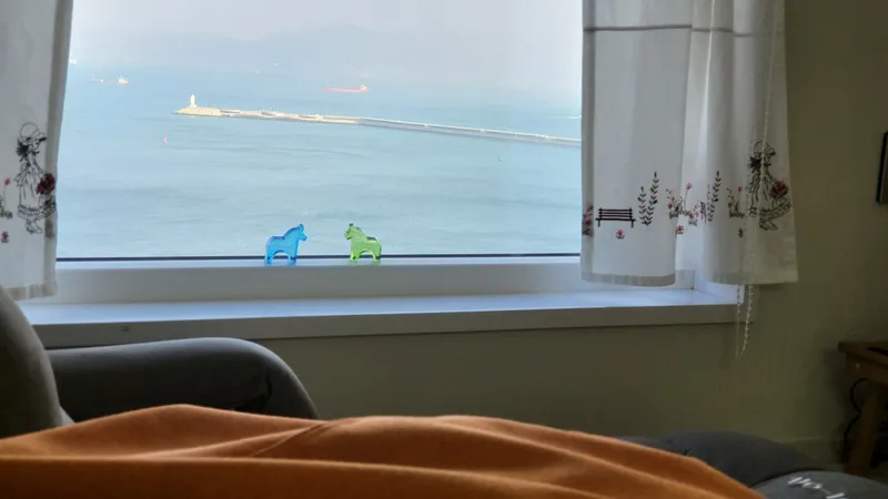 [Yeosu] Ocean view visible as soon as you open your eyes #Odongdo #MarineCableCar Aqua Planet within walking distance 7