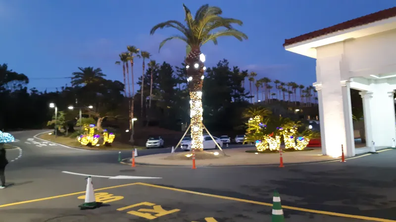 [Pyoseon, Seogwipo] 201, a country house full of humanity in a palm tree forest by the sea 25