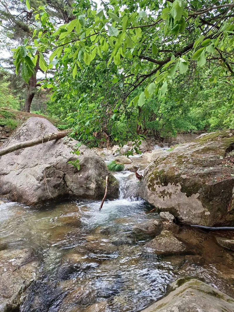 [경기 양평] 휴스테이 66