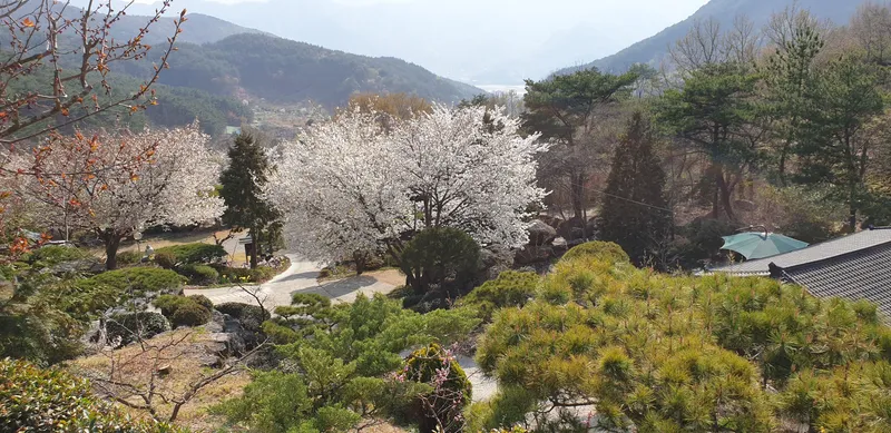 [경남 하동] 정원이 아름다운 황토방 31