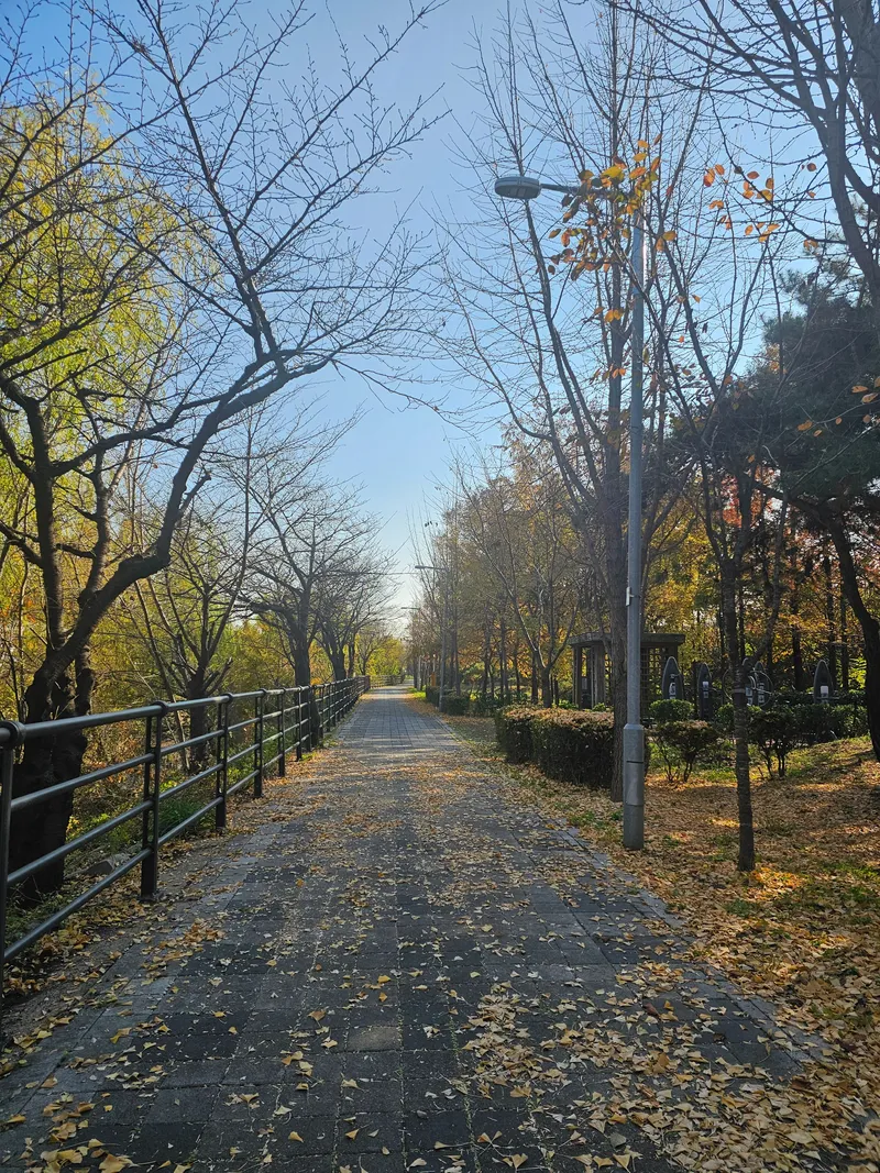 [서울 강서] 마곡 대장아파트 + 아파트 로얄동 로얄5층 17