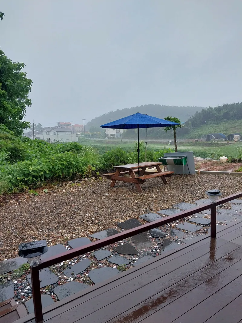 [Taean][Taean-gun, South Chungcheong Province] Camellia 8
