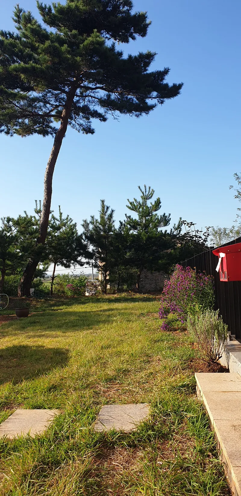 [Dangjin] Dangjin, South Chungcheong Province) Morning on the terrace/Villa in a country house/Room 5/1 hour from Seoul/12 minutes from the sea 35