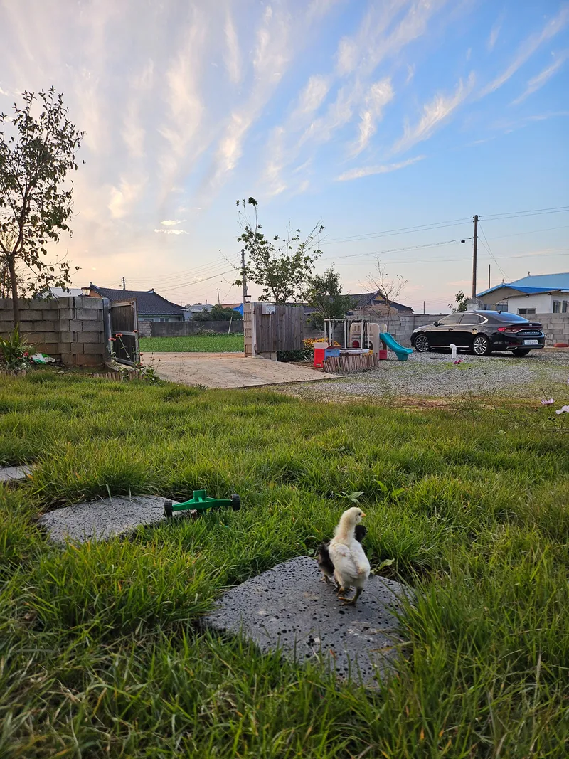 [Hampyeong][Jeonnam Hampyeong Sonbul] 7 minutes from Dolmeori Beach, Hampyeong Butterfly Festival, Greenhouse 24