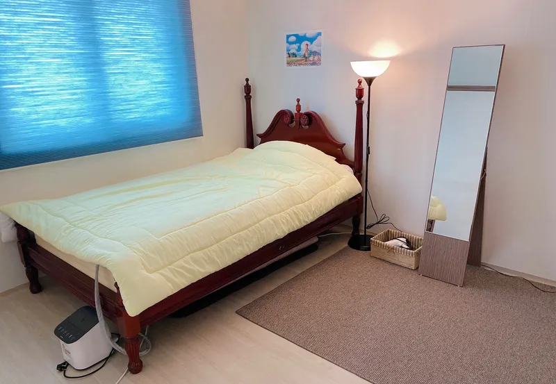 [Jeonju] Two-room house Jeonju city walking tour #Pets allowed 2