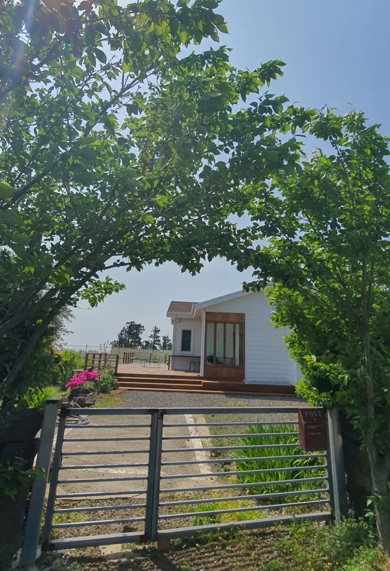 [서귀포 성산] 전망 좋은500평 마당,돌담,#애견동반가능,투룸독채.시골살이 14