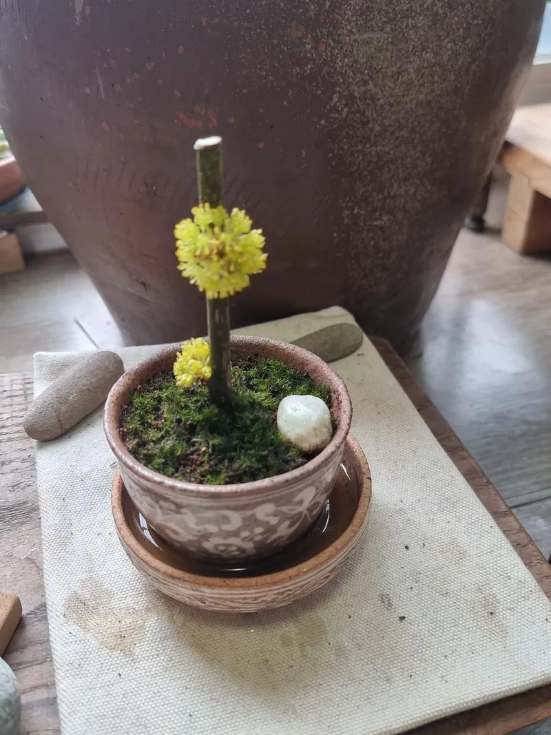 [경기 가평] 북한강변에서 자연인체험해보기 .와이 10
