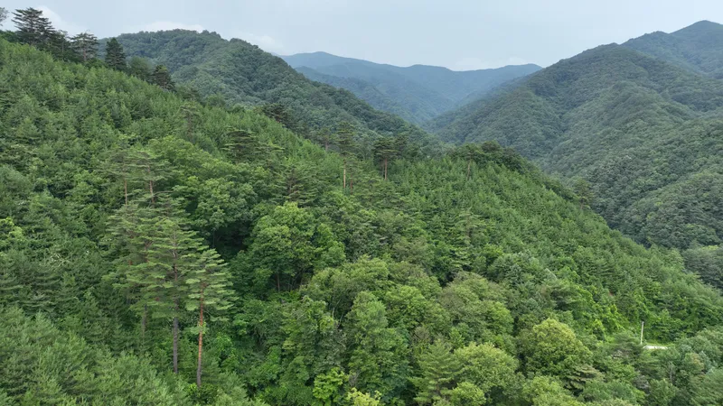 [Gangneung] A place where the sound of waves and the scent of coffee linger 26