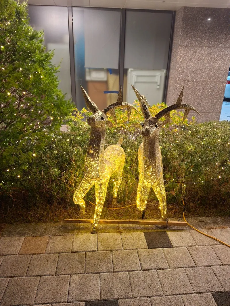 [Yeosu] Gyeongdo Bada Low-cost House 10th floor 19