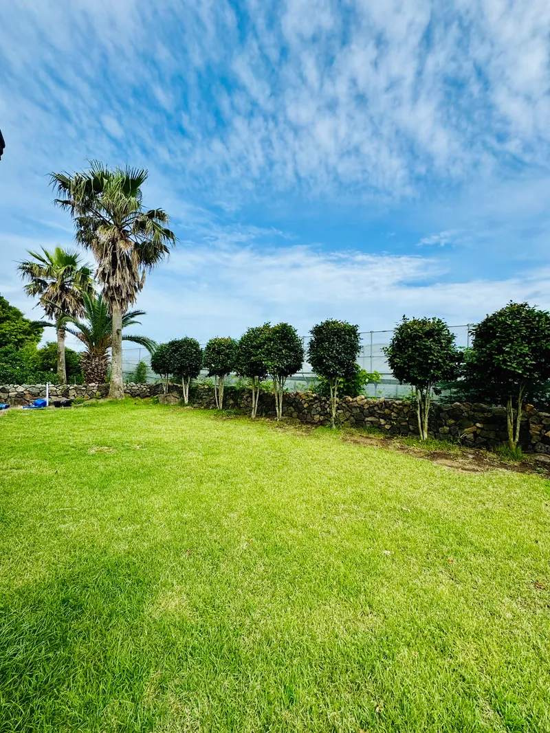 [Namwon, Seogwipo] A quiet rural village with camellia trees and stargazing / Experience the local life / Private house 6