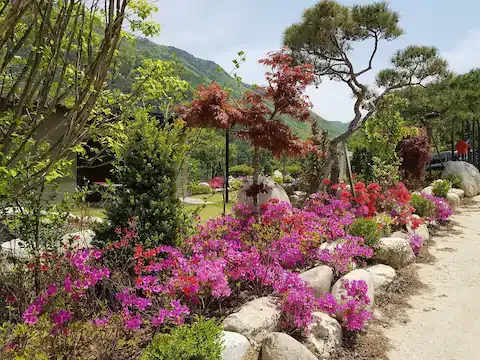 [경기 양평] 휴스테이 65