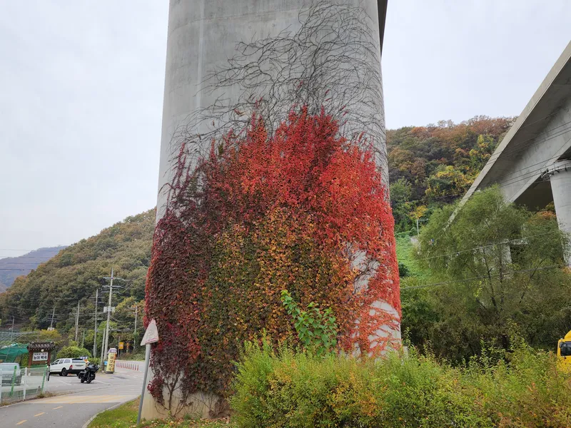 [경기 남양주] 자전거를 탄 풍경 18