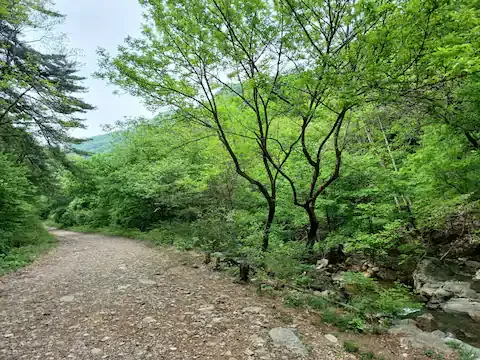 [경기 양평] 휴스테이 76