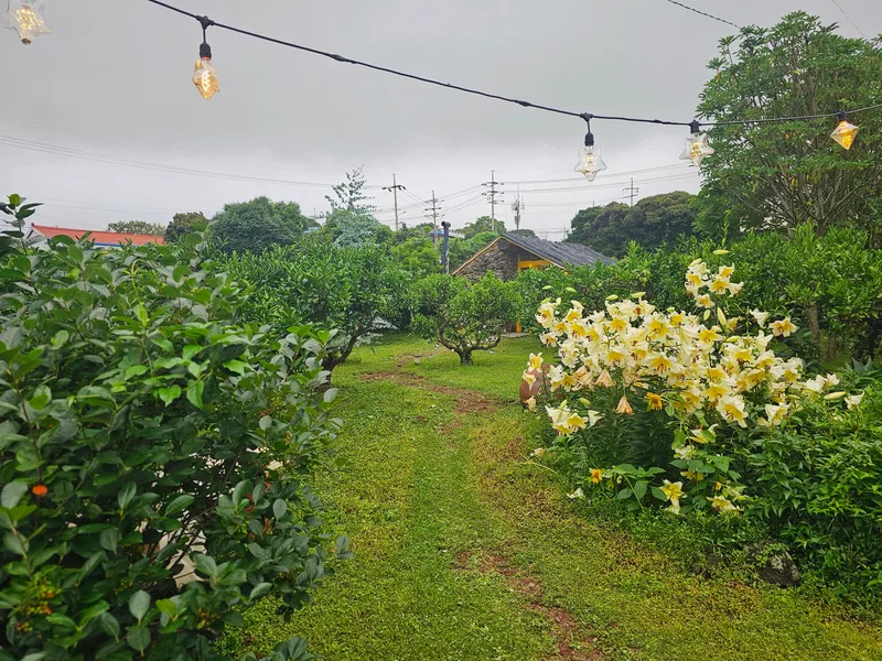 [Namwon, Seogwipo] 2-story detached house. Spacious yard. Ocean view. Jacuzzi. Three-room. BBQ. Foot volleyball. Pets 70