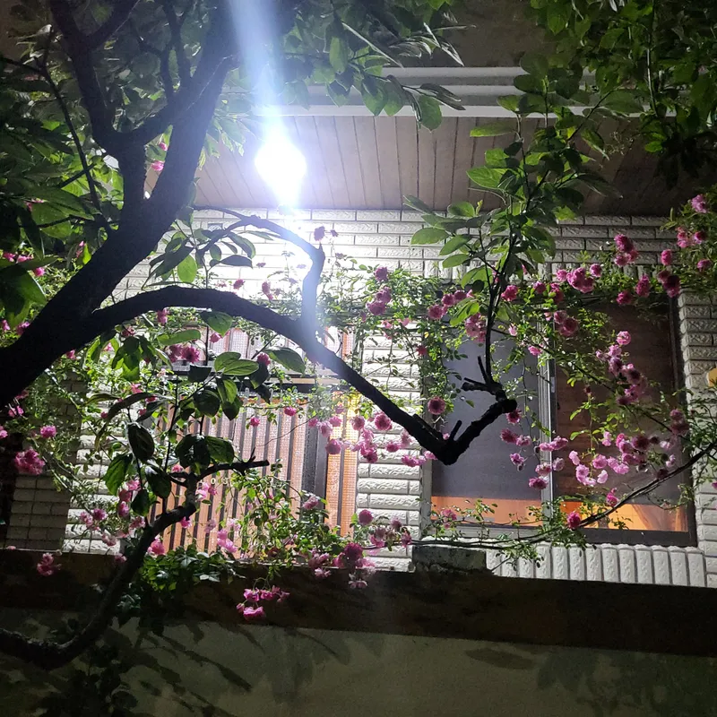 [부산 영도] 과거와현재,미래가공존하는 흰여울문화마을도보8분 24