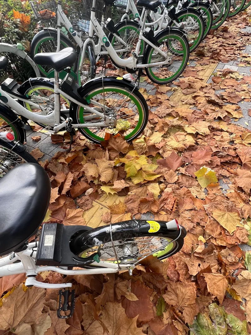 [Mapo, Seoul] 3 seconds from Gongdeok Station, Emotional Stay 14
