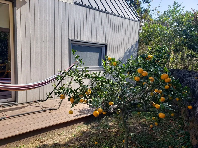 [Hallim, Jeju] A comfortable, two-story, independent cypress-tree one-room unit like my own home 29