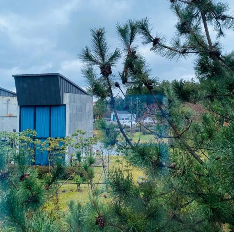 [Jocheon, Jeju] Two-story two-room house with Samdasu forest path_Gyo-rae House B-dong 20