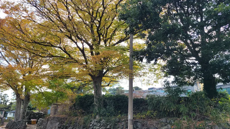 [Aewol, Jeju] Lawn yard stone wall detached house annex #Pets allowed #Early check-in 45