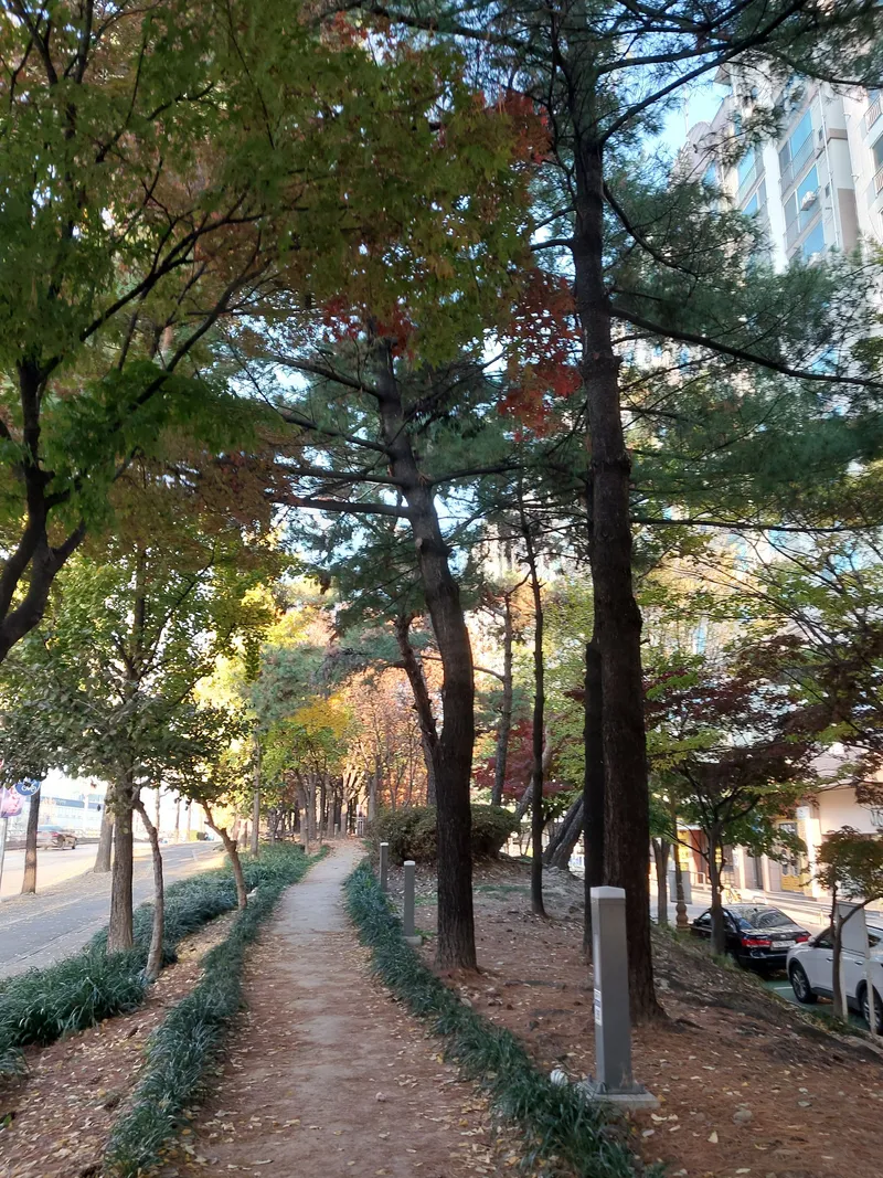 [Seo-gu, Daejeon] Dunsan-dong ♡Apartment, moving, remodeling, travel, business trips, and training are all OK 19