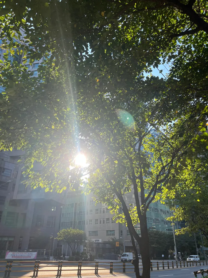 [Mapo, Seoul] 3 seconds from Gongdeok Station, Emotional Stay 15