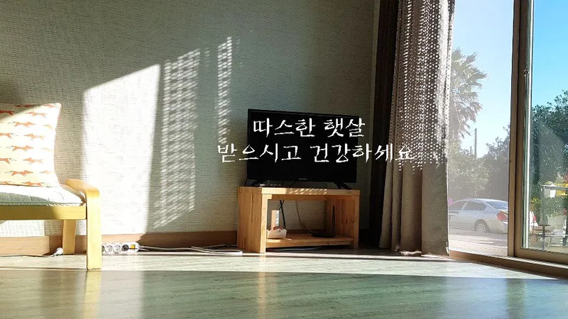 [Pyoseon, Seogwipo] 102nd house in a country house full of humanity in a palm tree forest by the sea 6