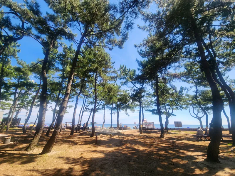 [강원 속초] 해수욕장 도보1분, 설악산뷰 바다코너링 고층,퀸침대2개 37