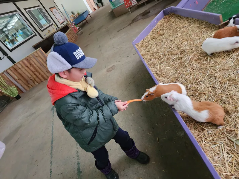 [Hongcheon] 45 pyeong detached house & duplex country villa with yard in harmony with nature 63