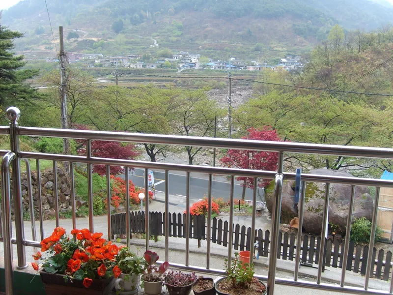 [Hadong] Jirisan Ssanggyesa Seomjin River Hwagae Market Yeongho-nam Place No. 205 9